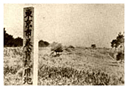 長浦更生農場前景