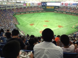 野球観戦