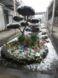 雪が積もった様子1