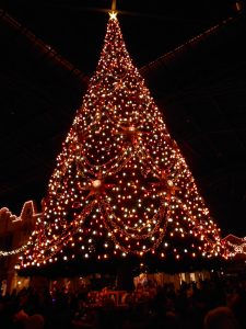 クリスマスツリー