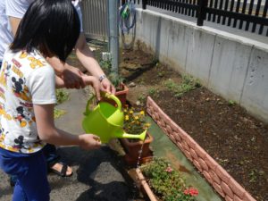 水やりの様子3