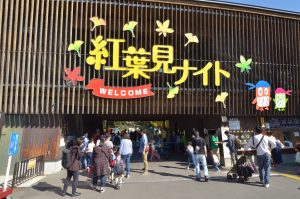 武蔵丘陵森林公園2