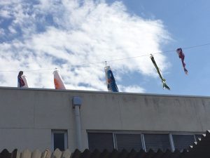 鯉のぼり1
