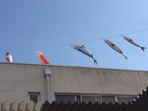 鯉のぼり2