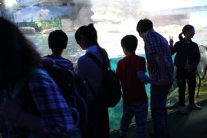 新江ノ島水族館を楽しむ様子1