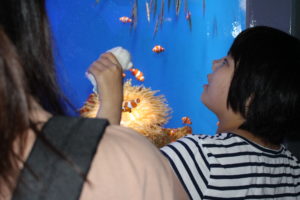 新江ノ島水族館を楽しむ様子2