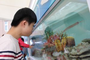 移動水族館車3