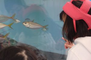 移動水族館車2