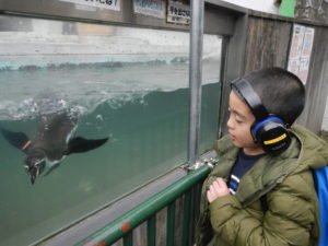 動物園2