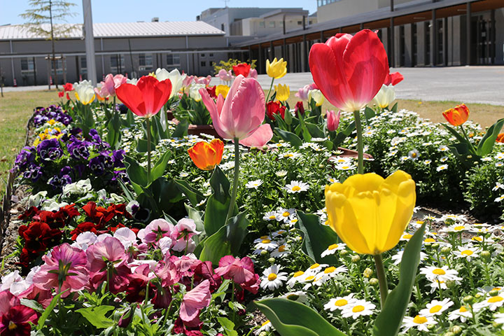東村山福祉園の花壇の写真