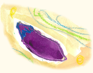 “なす2”