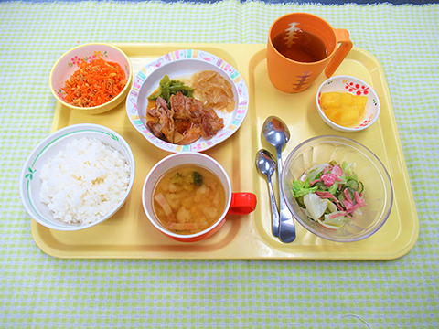 一般的なお食事の写真
