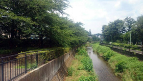 川の写真