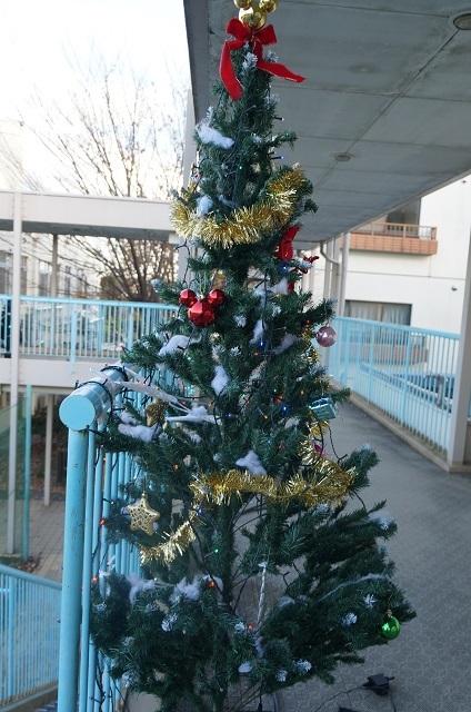 クリスマスツリーの写真