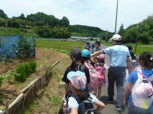 畑道を歩いている写真