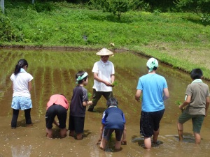 田植えの写真