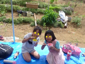 かき氷を食べている写真