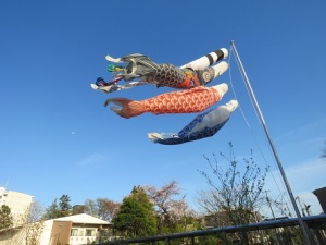 青空を泳ぐこいのぼりの写真