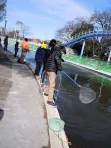 網で魚を獲ろうとする