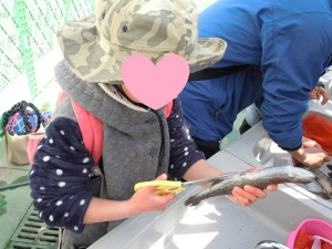 魚をさばいている様子