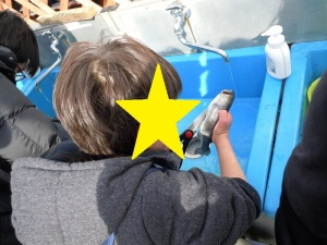 魚をさばいている様子2