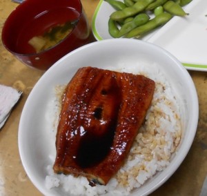 丼に盛られたウナギの写真