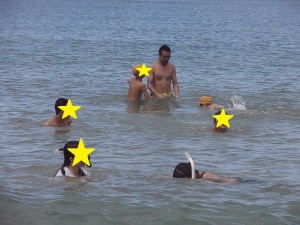 海
