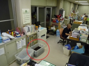 育てられている場所の写真