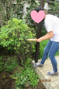 枝きり鋏