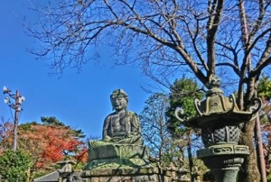 護国寺での様子2