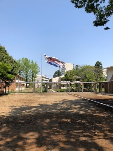 鯉のぼりの写真